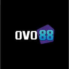 OVO88 - Pengalaman Seru Live Casino Terbaik